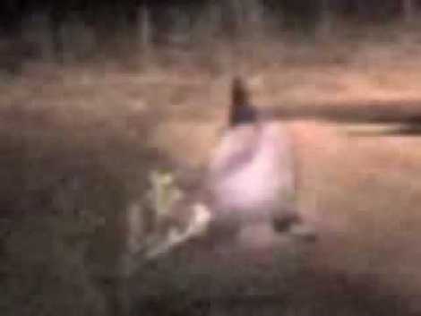 La Pomporrilla, un duende inofensivo