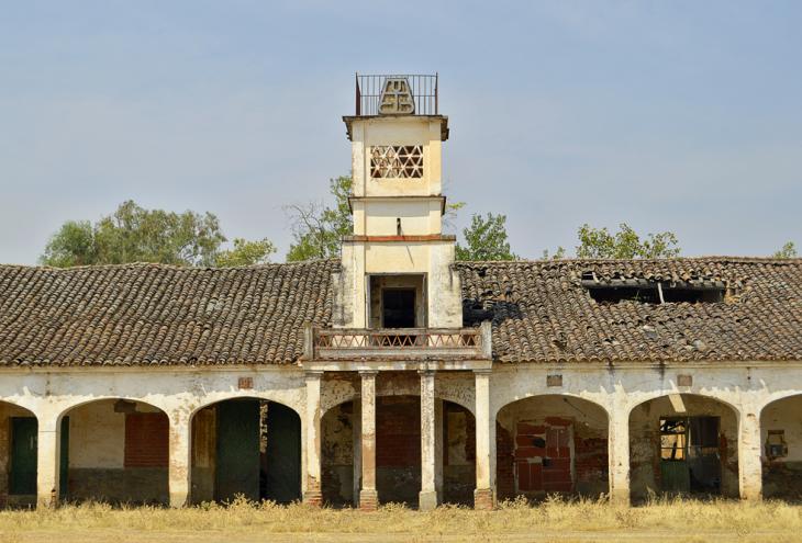 El despoblado de Almansa: Unión, Trabajo y Constancia